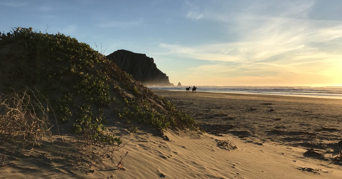 Unlock Secret Season: Why Fall is the Best Time to Visit Morro Bay