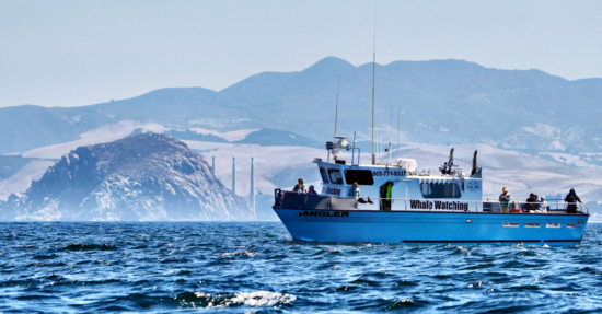 593778ba-d825-4b8e-801b-