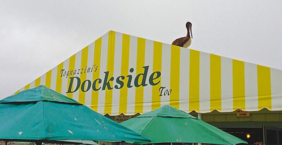 Tognazzini's Dockside Too Fish Market | Visit Morro Bay